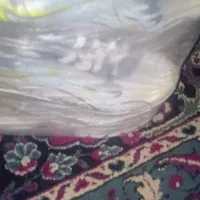 کفش|کیف، کفش، کمربند|انبارآلوم, |دیوار