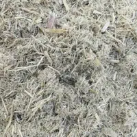 باگاس (تفاله نیشکر)