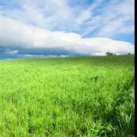 زمین مسکونی در روستای انهر