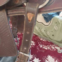 زین اسب کابای امریکای|اسب و تجهیزات اسبسواری|یزد, |دیوار