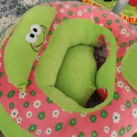 صندلی کودک|تخت و صندلی بچه|کهک, |دیوار