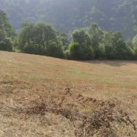 فروش زمین باغی در ریگ چشمه|فروش زمین و ملک کلنگی|مینودشت, |دیوار