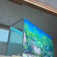 آکواریوم