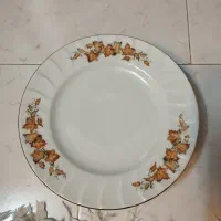 تعدادی ظروف چینی