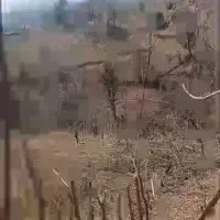 زمینی به مساحت2500متری دروستای کاشکی به فروش میرسد|فروش زمین و ملک کلنگی|سیاهکل, |دیوار