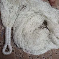 تور سهره گیری