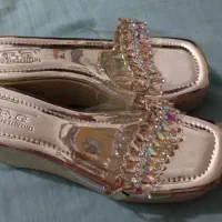 دمپای مجلسی|کیف، کفش، کمربند|بندرعباس, |دیوار