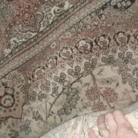 فروش یک تخته فرش نگین مشهد ۷۰۰ شانه در حد نو|فرش|مشهد, کوی ولیعصر|دیوار