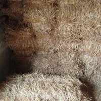 کاه پرس عدل دست اول