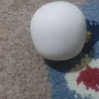 سنگ|کلکسیون اشیاء عتیقه|شیراز, سعدیه شمالی|دیوار