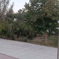 باغ چهارهزار متری|اجارهٔ کوتاه‌مدت ویلا و باغ|اصفهان, قهجاورستان|دیوار