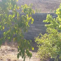 باغچه-500-متری-باحال