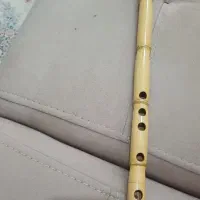 نی دندونی لا ۱ م