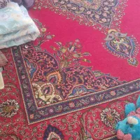 فرش ۱۲ متری دستباف|فرش|شیراز, شهرک والفجر|دیوار