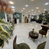 جذب نیرو در لاین های زیبایی