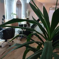 مرکززیبایی و لیزر آکو