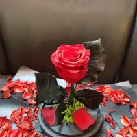 هدیه باکس گل  رز جاودان  طرح دیو و دلبر