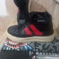 کتونی ساقدار نو|کیف، کفش، کمربند|لنگرود, |دیوار