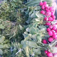 سبزی خوردن درپردیس دورمیدان اخوان کنارنانوایی