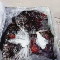 خرما امسال درجیه داخل دبه|خوردنی و آشامیدنی|آبپخش, |دیوار