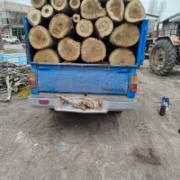 خریدوفروش چوب کهنه بید چنار درخت میوه