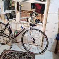 چرخ کورسی tcr6500