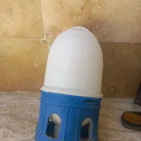 آبخوری مرغ|ظروف نگهدارنده، پلاستیکی، یک‌بارمصرف|بروجرد, |دیوار
