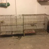 فروش گنجه قفس پران|لوازم جانبی حیوانات|آمل, |دیوار