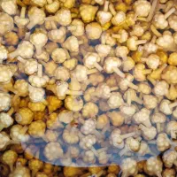 گلسیر|خوردنی و آشامیدنی|لنگرود, |دیوار