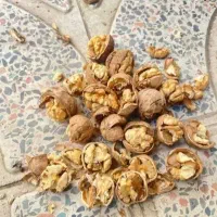 گردو محلی ملایر