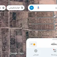 فروش ویژه زمین پسته ایی