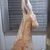 گوشت گوسفندی