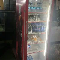 یخجال ایستاده