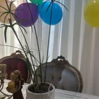 (گالری برادران سبز)