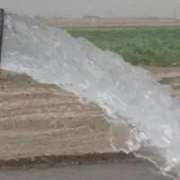 فروش زمین ۱ هکتار در گلدشت معالی‌آباد|فروش زمین و ملک کلنگی|شیراز, گلدشت معالی‌آباد|دیوار