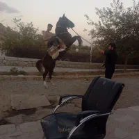 اسب سواری  عکاسی با اسب و محیط|اسب و تجهیزات اسب‌سواری|مشهد, کوه سنگی|دیوار