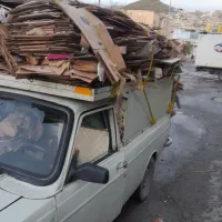 خرید کارتون نان با قیمت کارخانه