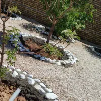 قلوه سنگ،گراویه رنگی، سنگ ریز ،|عمدهفروشی|مشهد, گلبرگ|دیوار