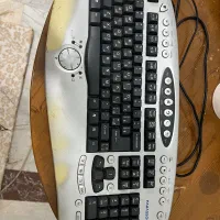 کاملا سالم
