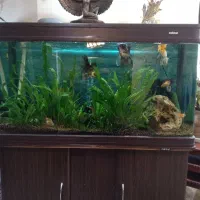 آکواریوم باتمام لوازم