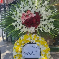 تاج گل طبیعی|گل و گیاه طبیعی|اصفهان, فیض|دیوار
