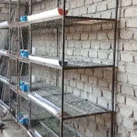 قفس مناسب انواع پرندگان