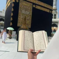 فیش مکه  با نازلترین قیمت