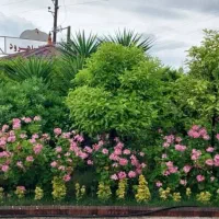 اجاره-ویلای-دوبلکس-مبله-در-سیاهرود