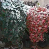 درختچه  مصنوعی