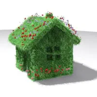 خانم برای نظافت منزل