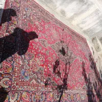 فرش دستباف|فرش|بیرجند, |دیوار