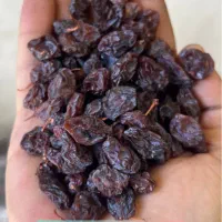 کشمش /مویز /شیره انگور