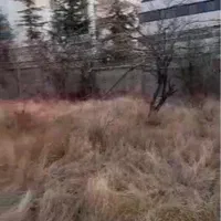 تهاتر 2000 زمین در بکرترین منطقه لواسان|فروش زمین و ملک کلنگی|تهران, زعفرانیه|دیوار