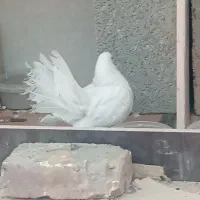 یک جفت کبوتر دم چتری|پرنده|خمینیشهر, |دیوار